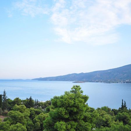 Maria Studios Poros Town エクステリア 写真